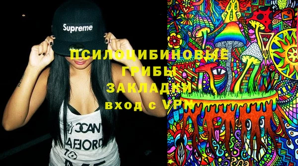 мдпв Абаза