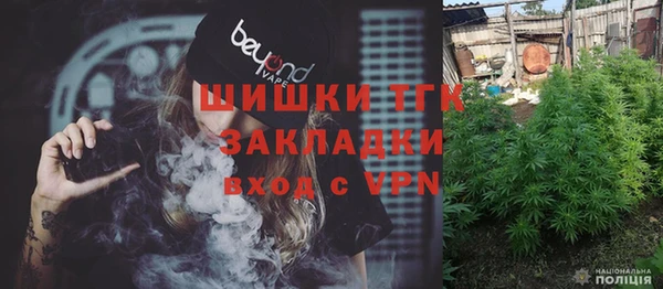 мдпв Абаза